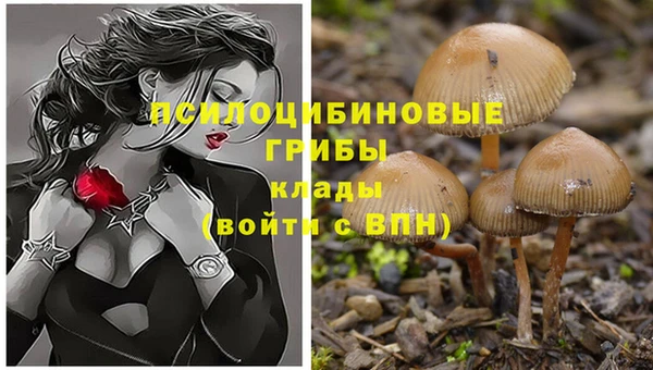 дурь Лабытнанги