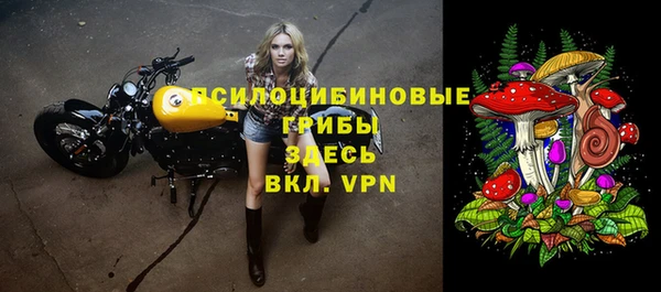 дурь Лабытнанги