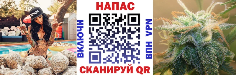 Канабис сатива где купить наркоту Торопец
